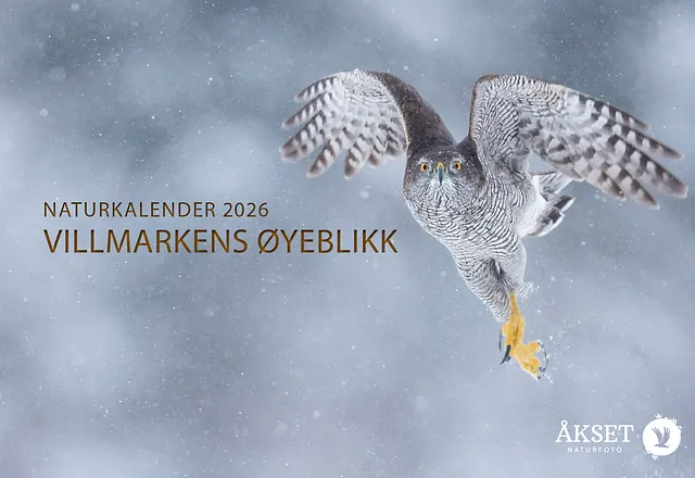 Naturfoto kalender